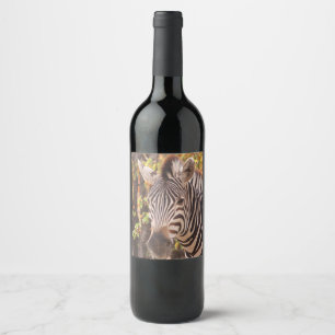 Zebra in a mopani forest wine label