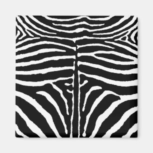 Zebra in Black and White Magnet