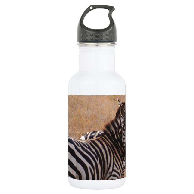 Zebra in Kenya 532 Ml Water Bottle (Front)