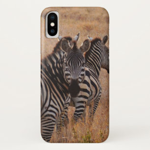 Zebra in Kenya iPhone X Case