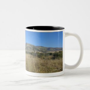 Zebra in open plain, Pilansberg National Park, Two-Tone Coffee Mug