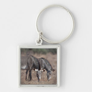 Zebra Key Ring