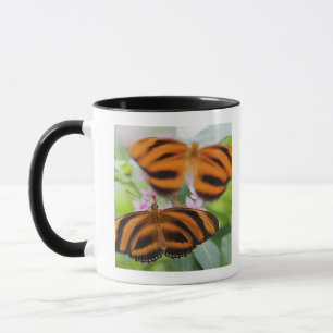 Zebra Long Wing Butterfly 2 Mug