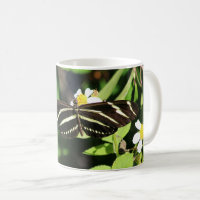 Zebra Longwing Butterfly