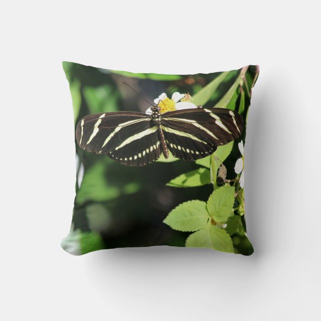 Zebra Longwing Butterfly Cushion (Front)