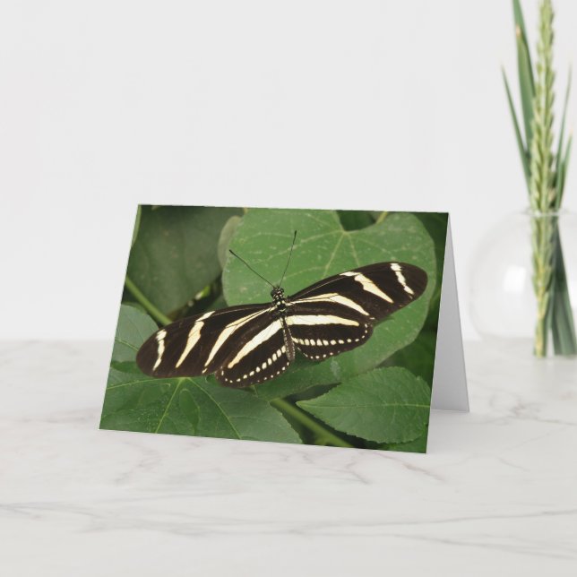 Zebra Longwing Butterfly Greeting Card (Front)