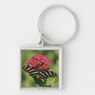 Zebra longwing butterfly, Heliconius Key Ring