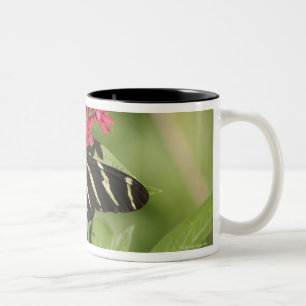 Zebra longwing butterfly, Heliconius Two-Tone Coffee Mug