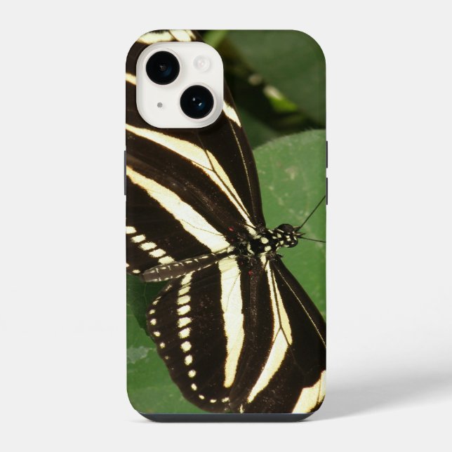 Zebra Longwing Butterfly iPhone Case (Back)