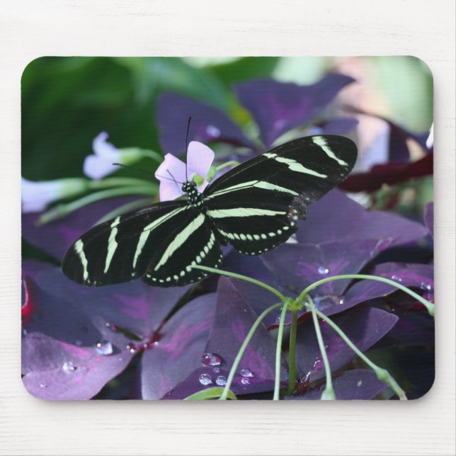 Zebra Longwing Butterfly Mouse Pad (Front)