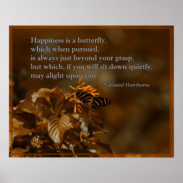 Zebra longwing butterfly on flower poster (Front)