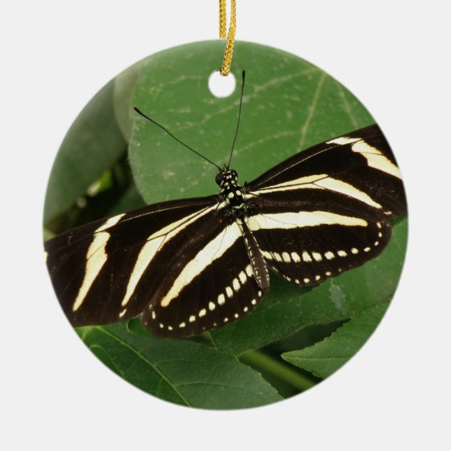 Zebra Longwing Butterfly Ornament (Front)