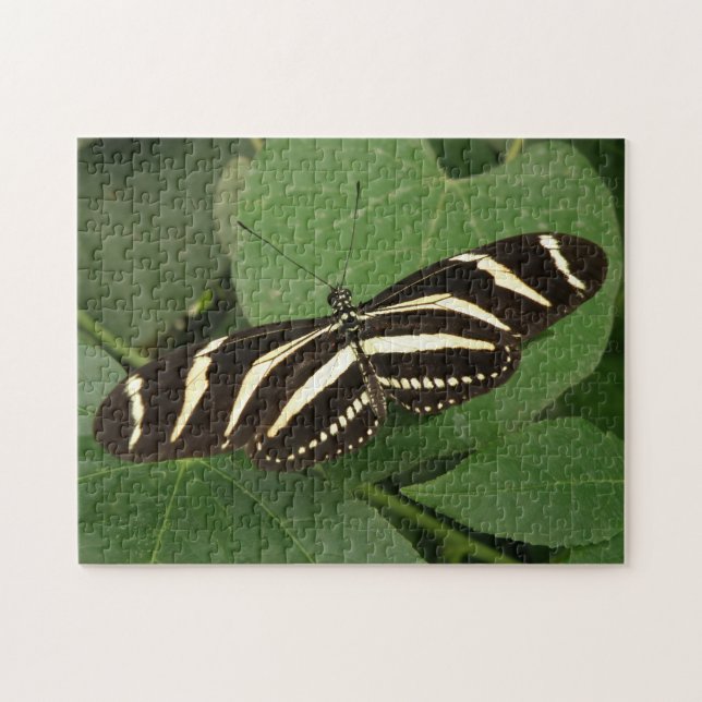 Zebra Longwing Butterfly Puzzle (Horizontal)