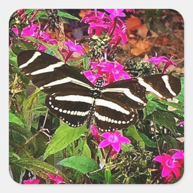 Zebra Longwing Butterfly Square Sticker (Front)