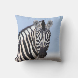 Zebra looking at you with blue sky photo cushion