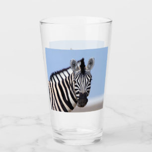 Zebra looking at you with blue sky photo glass