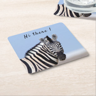 Zebra looking at you with blue sky photo text square paper coaster