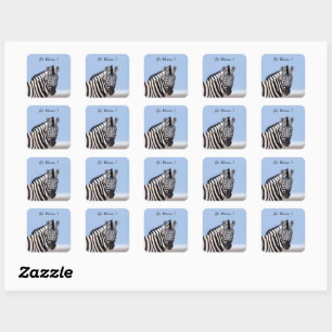 Zebra looking at you with blue sky photo text square sticker