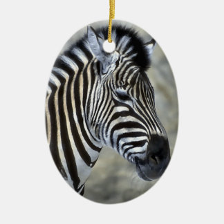 Zebra Lovers Art Christmas Ornament