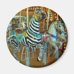 Zebra Magnet