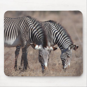 Zebra Mouse Pad