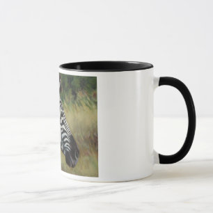 Zebra Mug