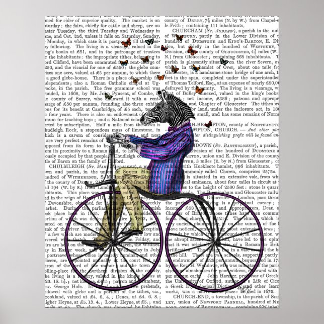 Zebra On Bicycle Poster (Front)