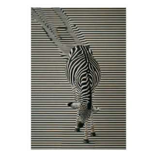 Zebra-Optik Poster | Surrealistic animal art