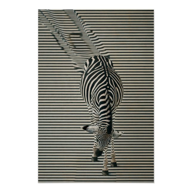 Zebra-Optik Poster | Surrealistic animal art (Front)