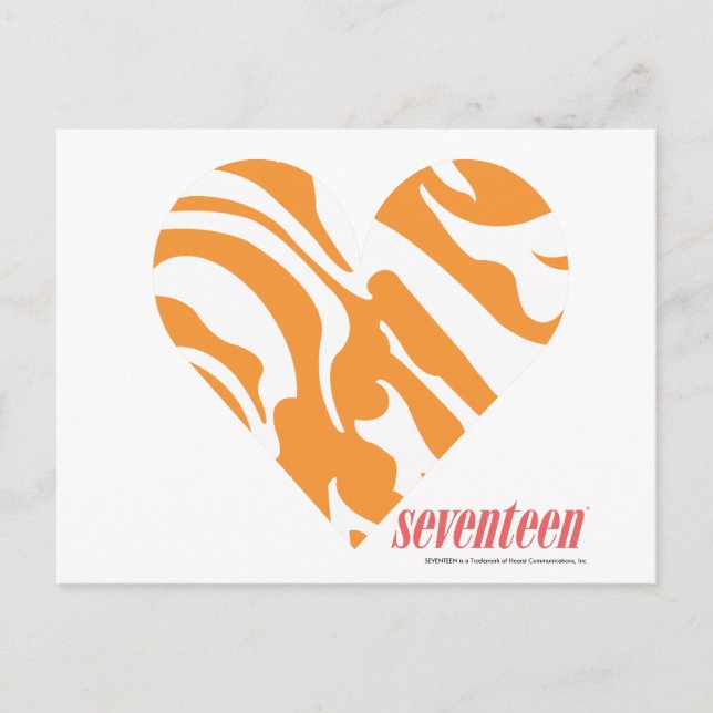 Zebra Orange 2 Postcard (Front)