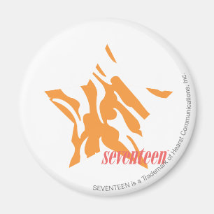 Zebra Orange 3 Magnet