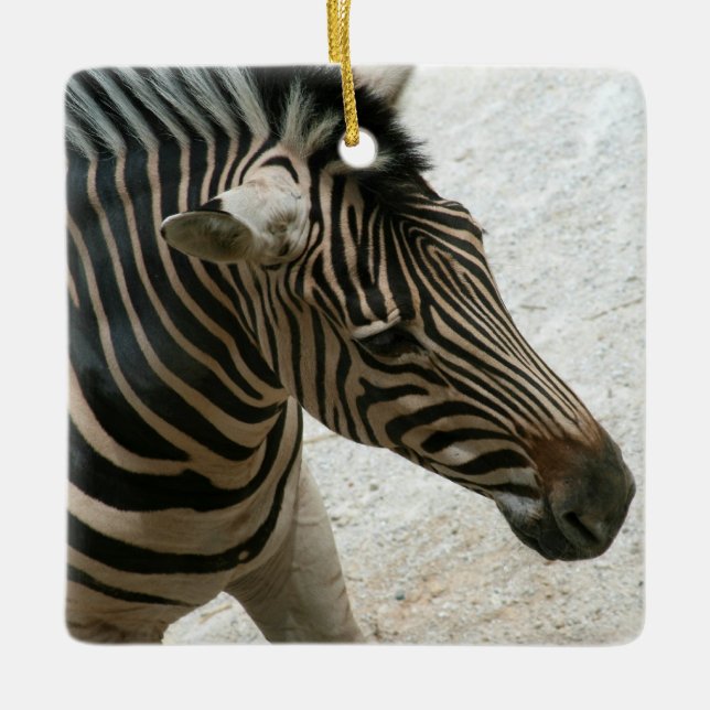Zebra Ornament (Front)
