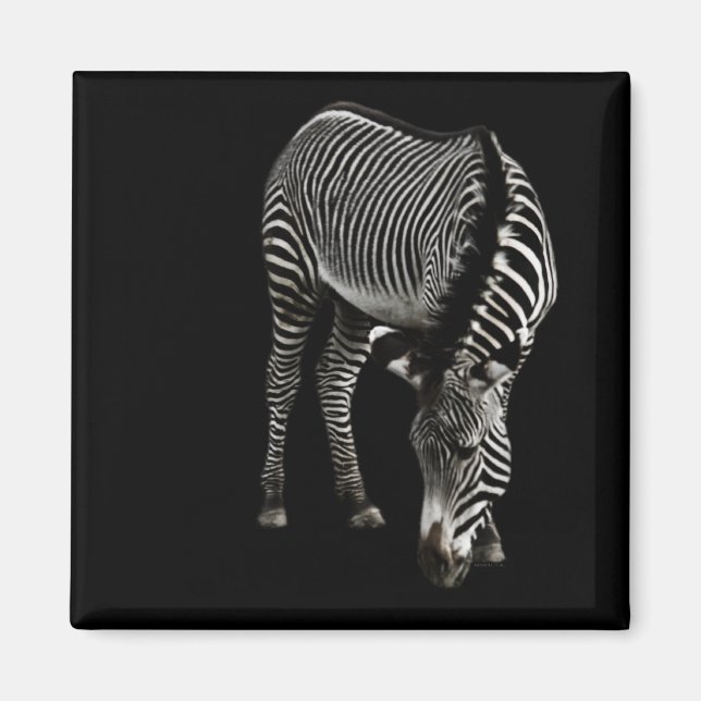 Zebra P4435 Magnet (Front)