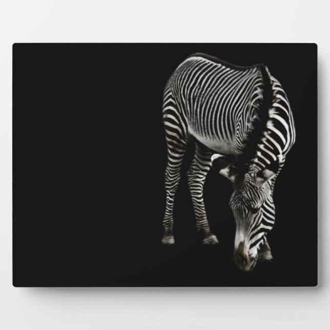 Zebra P4435 Plaque (Front)
