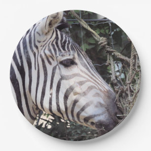 Zebra Paper Plate