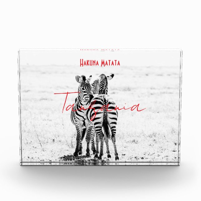 zebra photo block (Front)