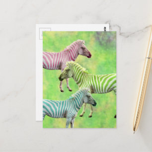 Zebra Pink Blue Green Postcard