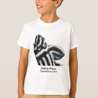 Zebra Placo
