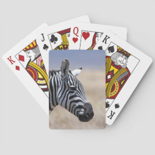 Zebra Playing Cards