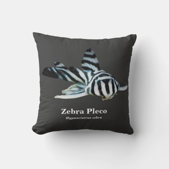 Zebra Pleco Cushion (Front)