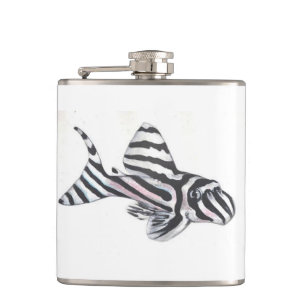 Zebra Pleco L46 Catfish Small Flask