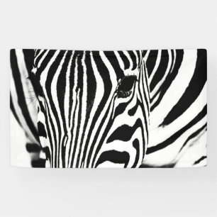 Zebra portrait black and white banner