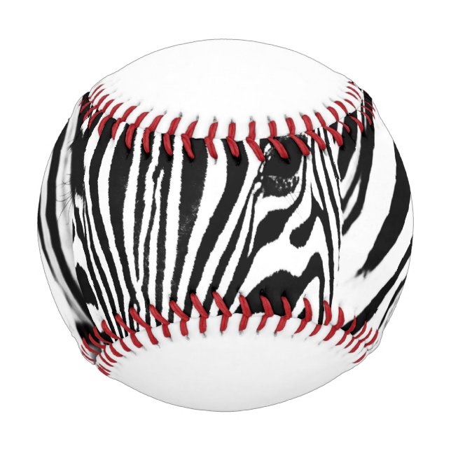 Zebra portrait black and white baseball (Front)