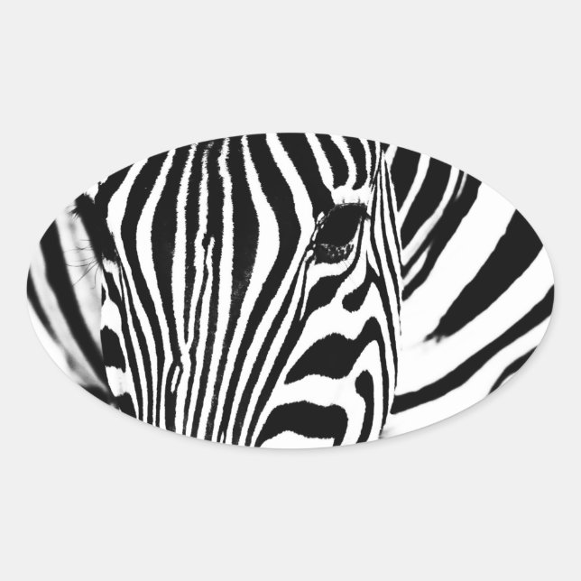 Zebra portrait black and white oval sticker (Front)