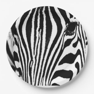 Zebra portrait black and white paper plate