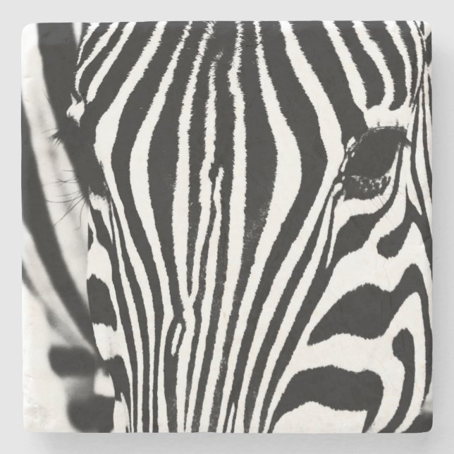 Zebra portrait black and white photo stone coaster (Front)