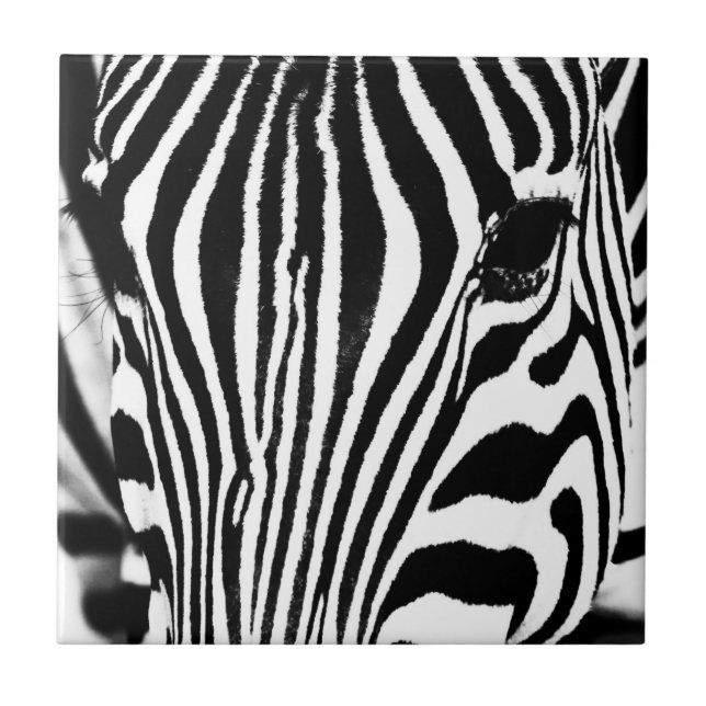 Zebra portrait black and white tile (Front)
