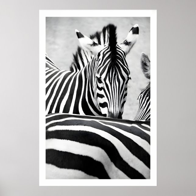 Zebra Portrait Wall Art Graphic Black and White (Front)