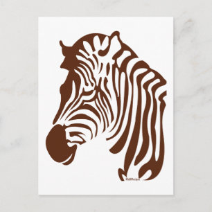 Zebra Postcard