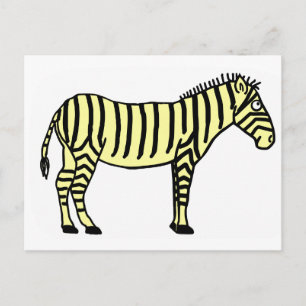 Zebra Postcard